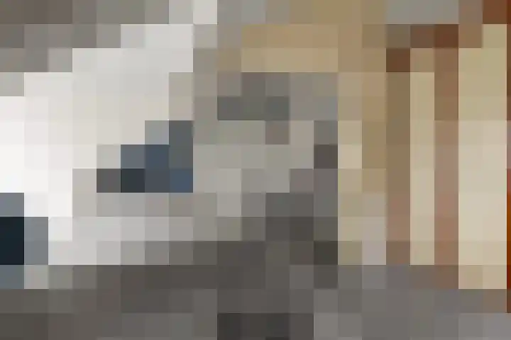 Waterigeweg 44 Zeist thumbnail 34