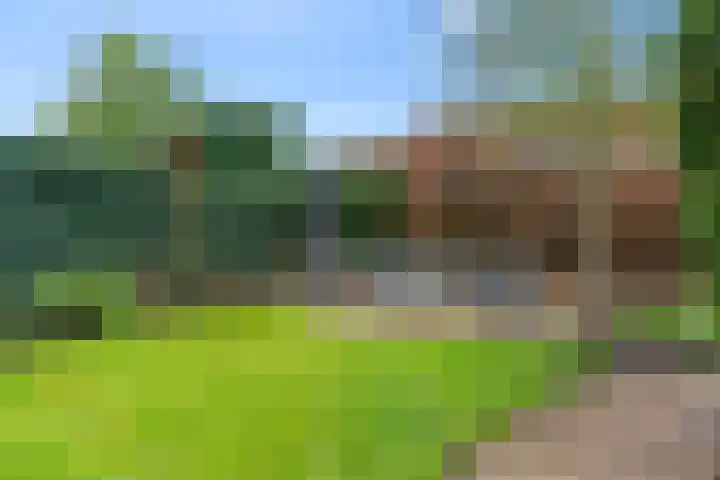 Waterigeweg 44 Zeist thumbnail 36