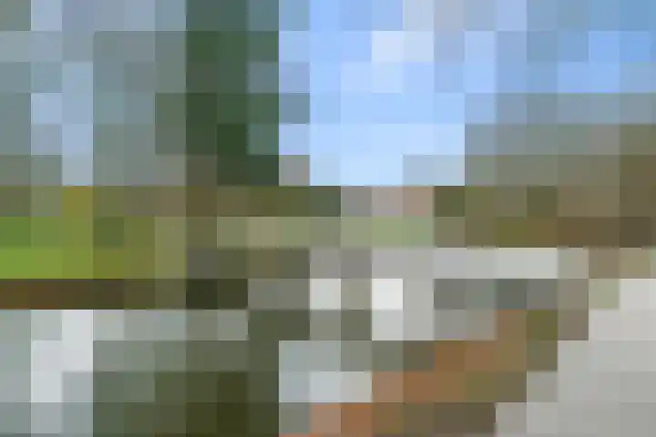 Waterigeweg 44 Zeist thumbnail 40