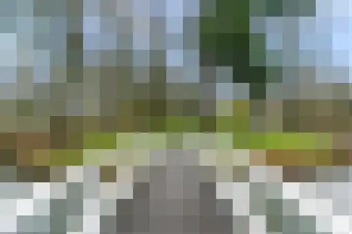 Waterigeweg 44 Zeist thumbnail 41