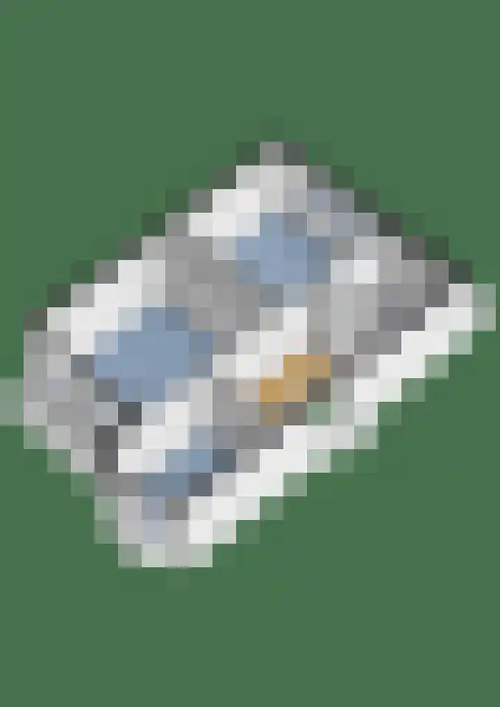 Waterigeweg 44 Zeist thumbnail 45