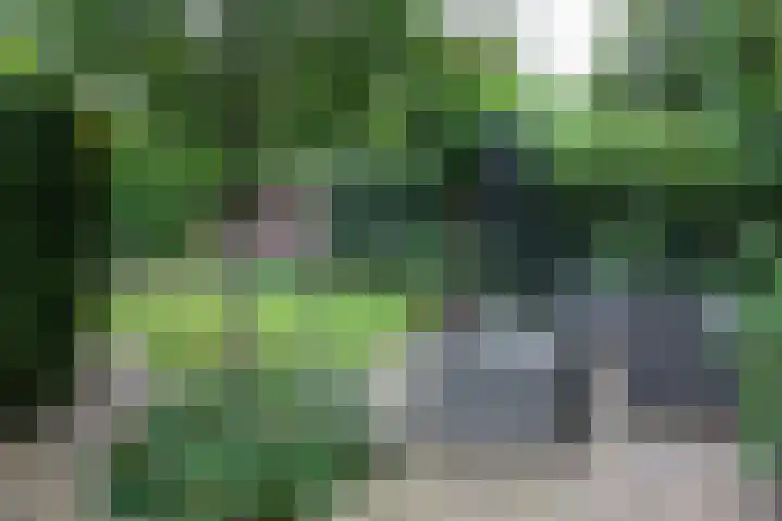 Waterigeweg 44 Zeist thumbnail 5