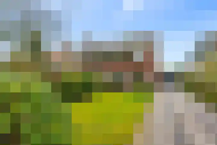 Waterigeweg 44 Zeist thumbnail 7