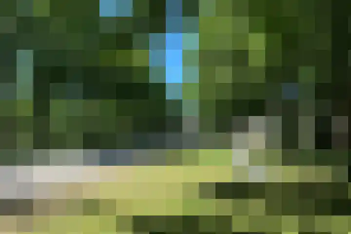 Waterigeweg 5 2 Zeist thumbnail 26