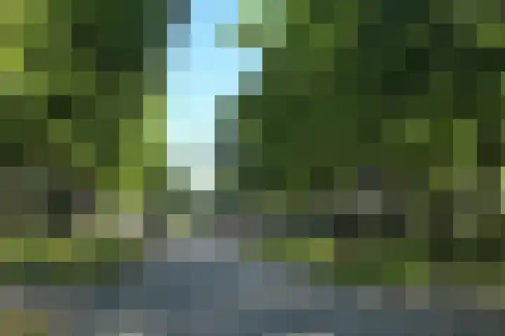 Waterigeweg 5 2 Zeist thumbnail 27