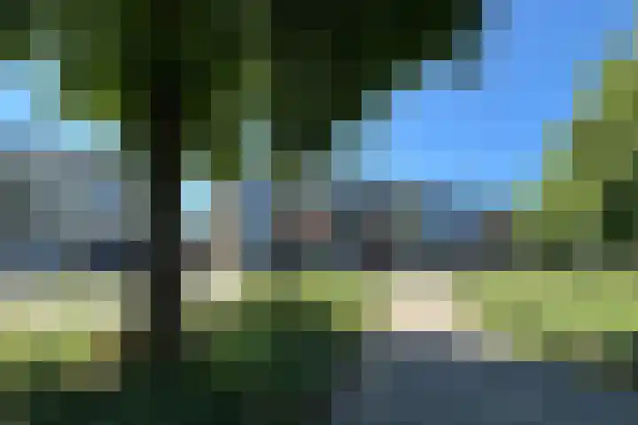 Waterigeweg 5 2 Zeist thumbnail 35