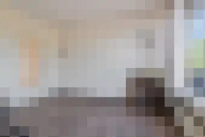 Waterigeweg 5 2 Zeist thumbnail 7