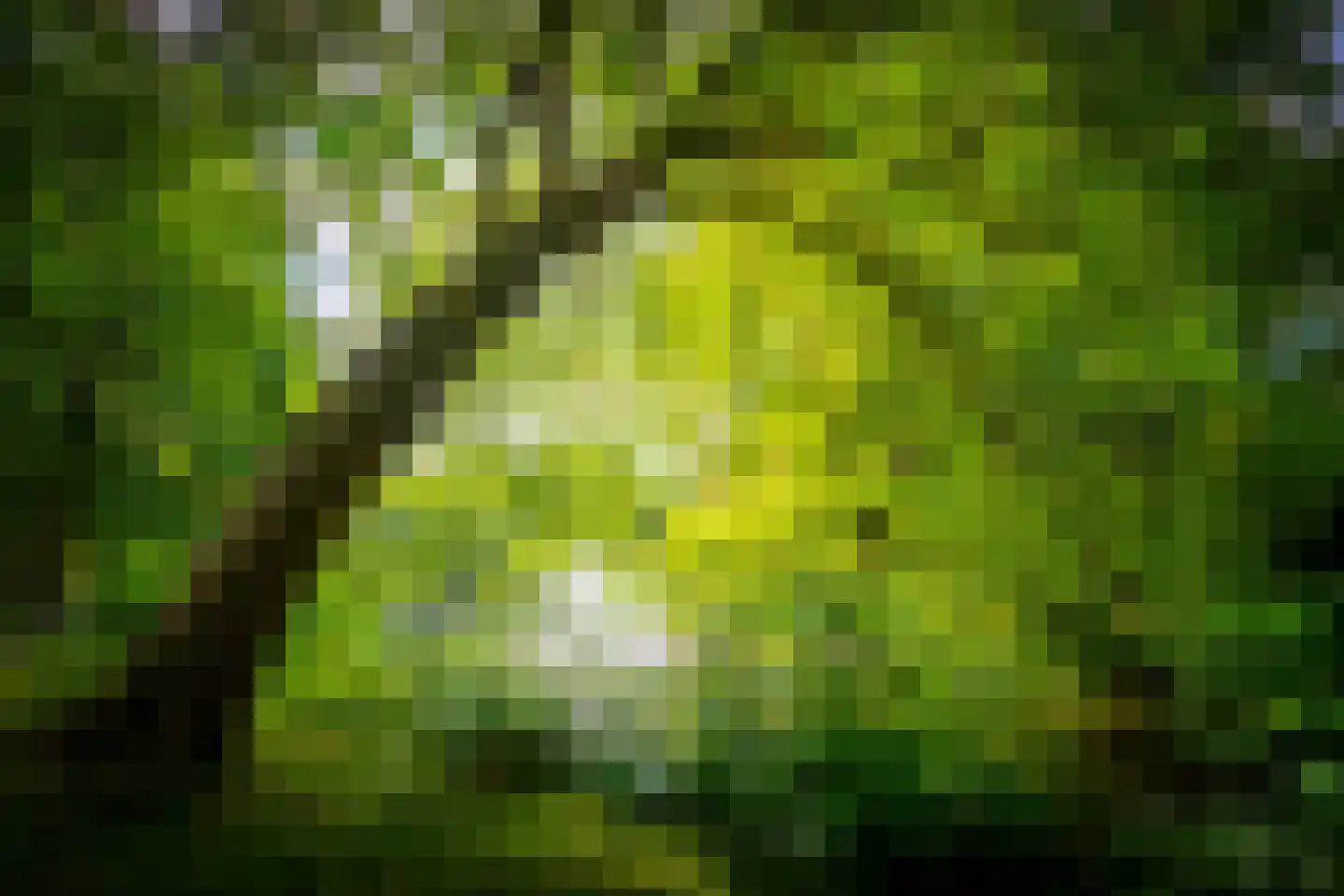Waterigeweg 5 3 Zeist thumbnail 22
