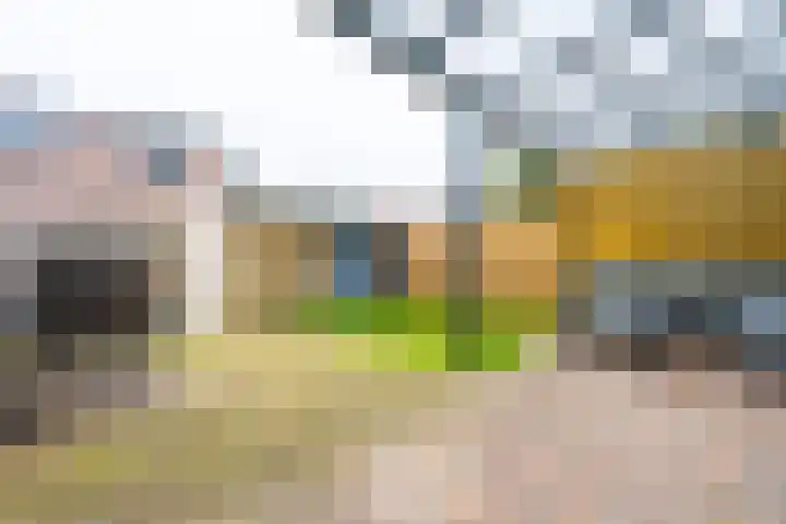 Waterigeweg 5 Zeist thumbnail 15