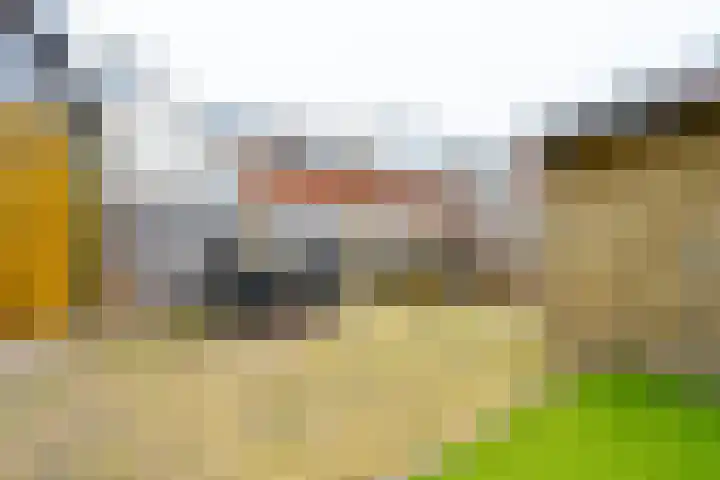Waterigeweg 5 Zeist thumbnail 18