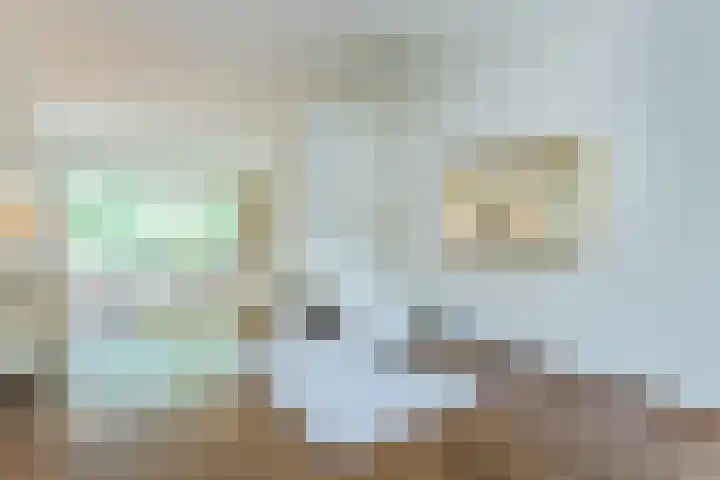 Waterigeweg 60 Zeist thumbnail 13