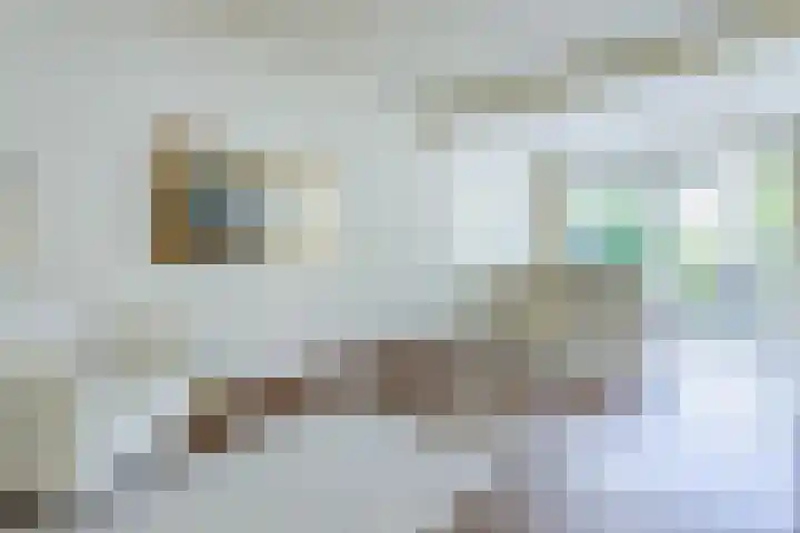 Waterigeweg 60 Zeist thumbnail 15