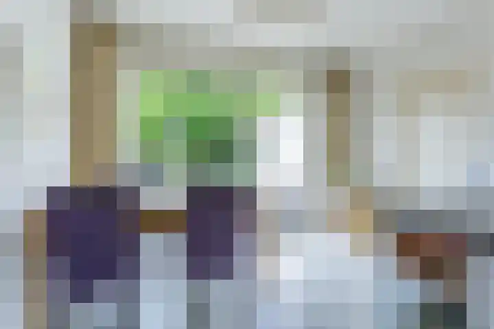 Waterigeweg 60 Zeist thumbnail 18