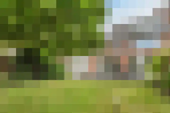 Waterigeweg 60 Zeist thumbnail 43