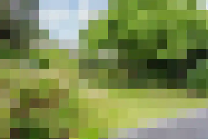 Waterigeweg 60 Zeist thumbnail 45