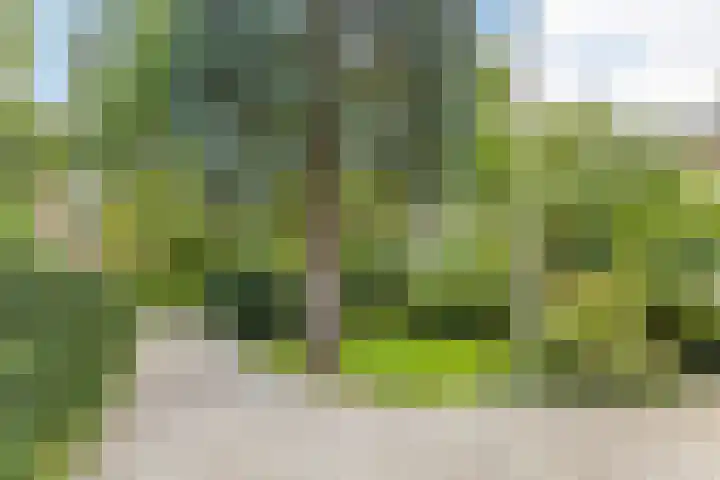 Waterigeweg 60 Zeist thumbnail 46