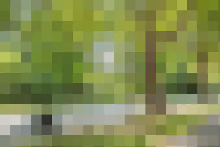 Waterigeweg 60 Zeist thumbnail 47