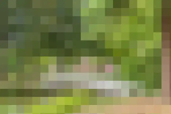 Waterigeweg 60 Zeist thumbnail 48