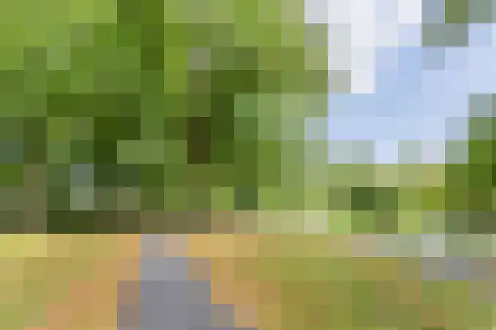 Waterigeweg 60 Zeist thumbnail 49
