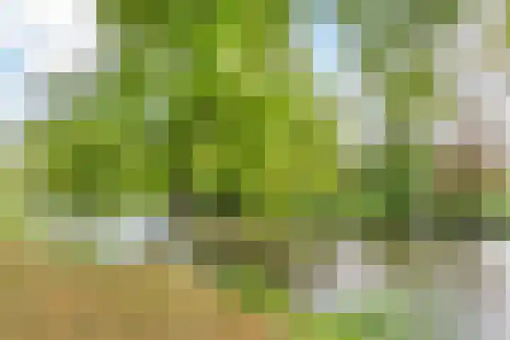 Waterigeweg 60 Zeist thumbnail 50