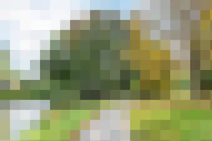 Waterigeweg 60 Zeist thumbnail 51