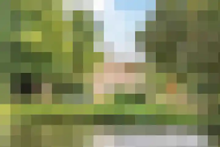 Waterigeweg 60 Zeist thumbnail 52
