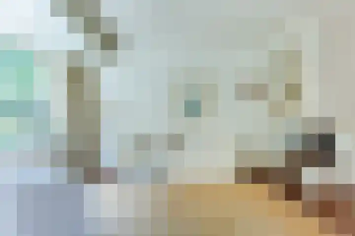 Waterigeweg 60 Zeist thumbnail 9