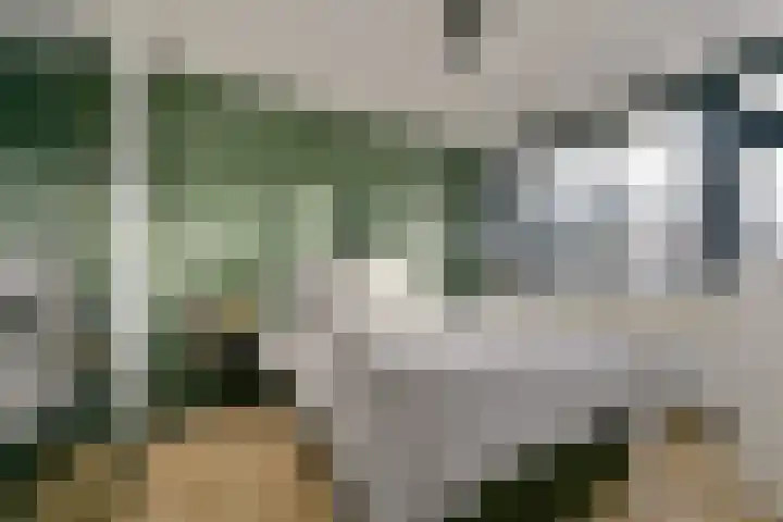 Waterigeweg 9 1 Zeist thumbnail 16