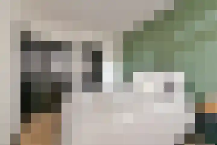 Waterigeweg 9 1 Zeist thumbnail 17