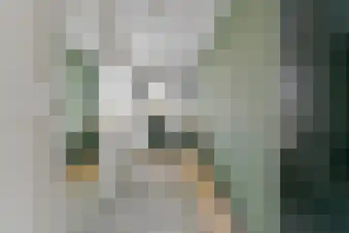 Waterigeweg 9 1 Zeist thumbnail 19