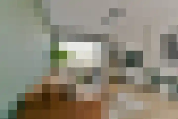 Waterigeweg 9 1 Zeist thumbnail 8