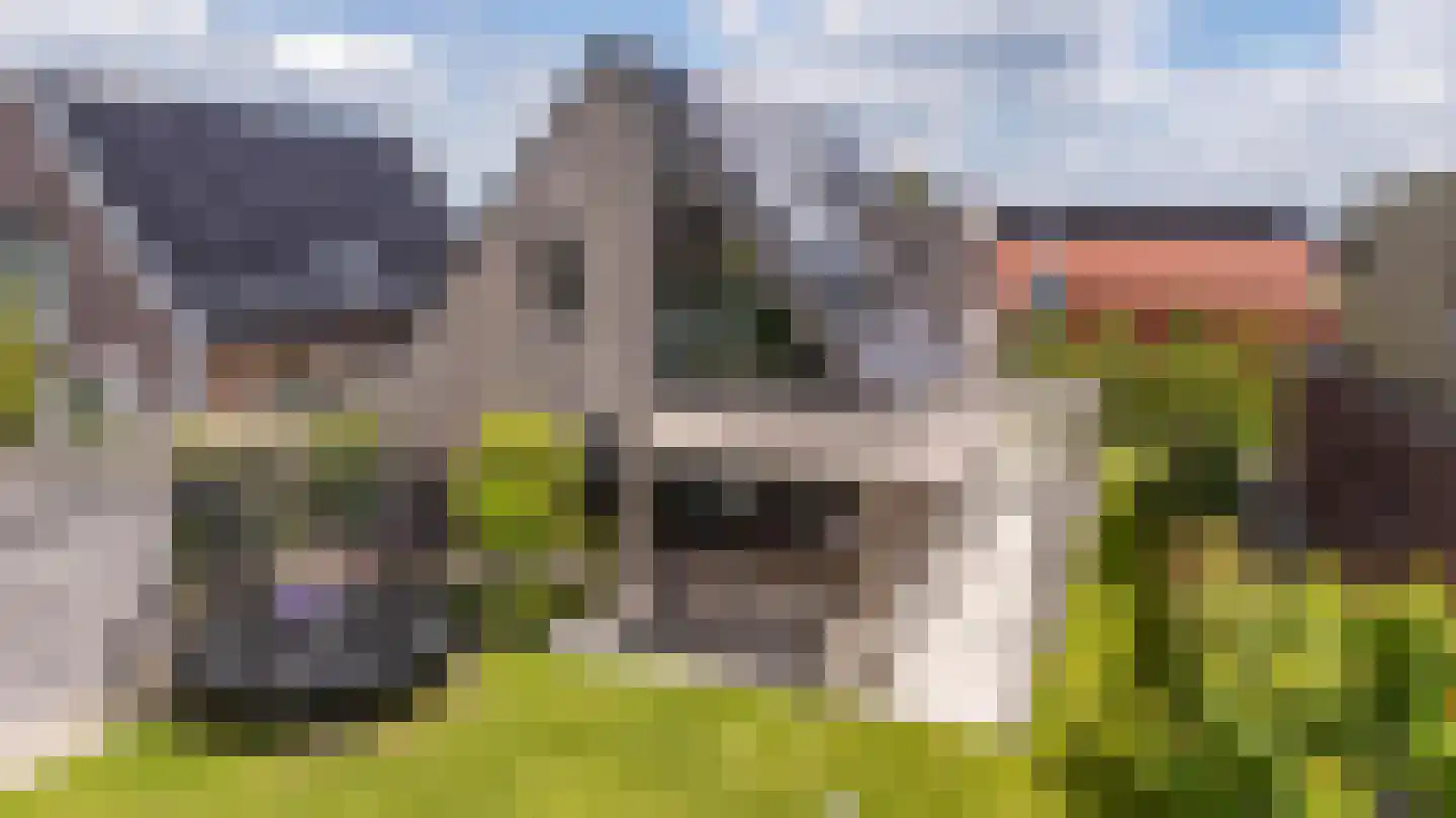 Watering 21 Meerstad thumbnail 14