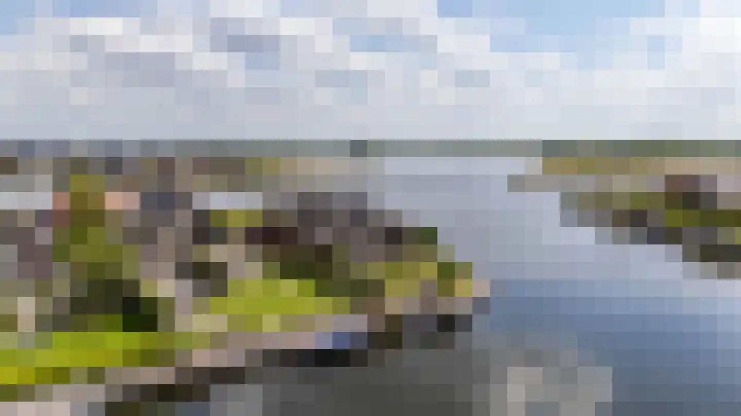 Watering 21 Meerstad thumbnail 18