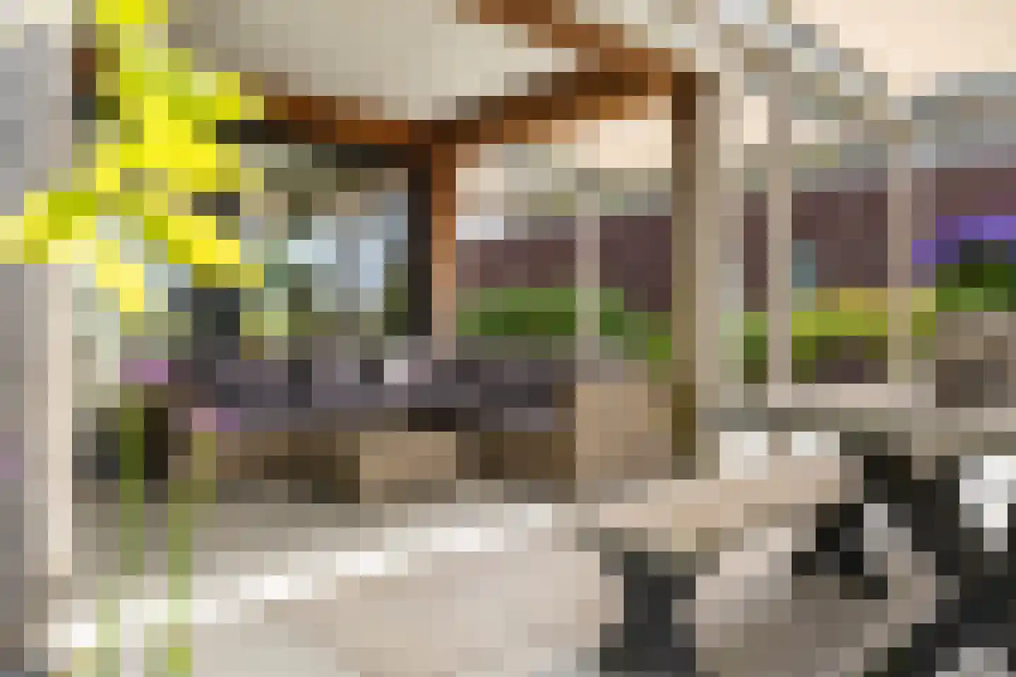 Watering 21 Meerstad thumbnail 8
