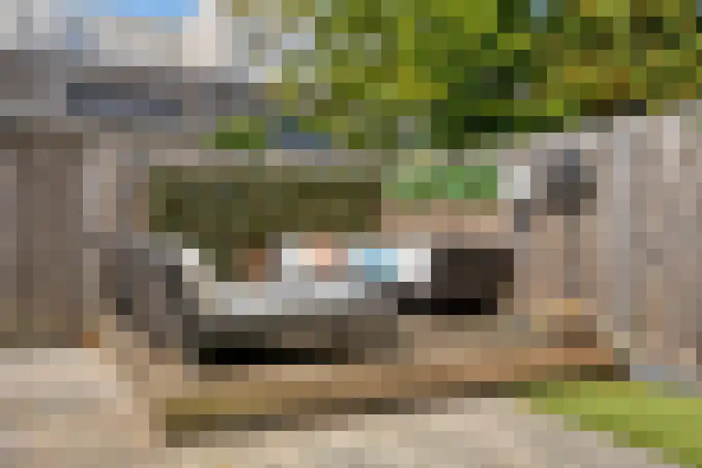 Wateringen 225 's-Hertogenbosch thumbnail 34