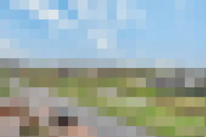 Wateringen 91 's-Hertogenbosch thumbnail 24
