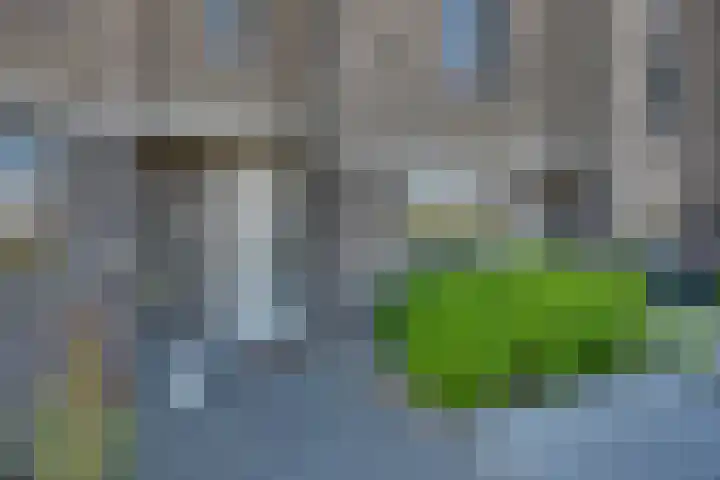 Wateringen 91 's-Hertogenbosch thumbnail 25
