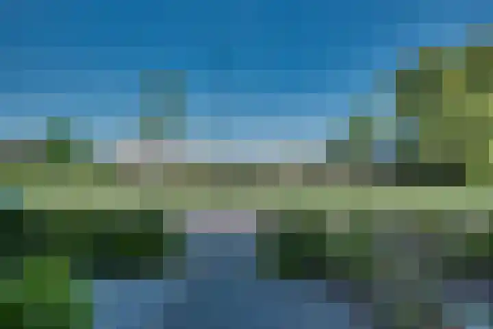 Wateringen 91 's-Hertogenbosch thumbnail 26