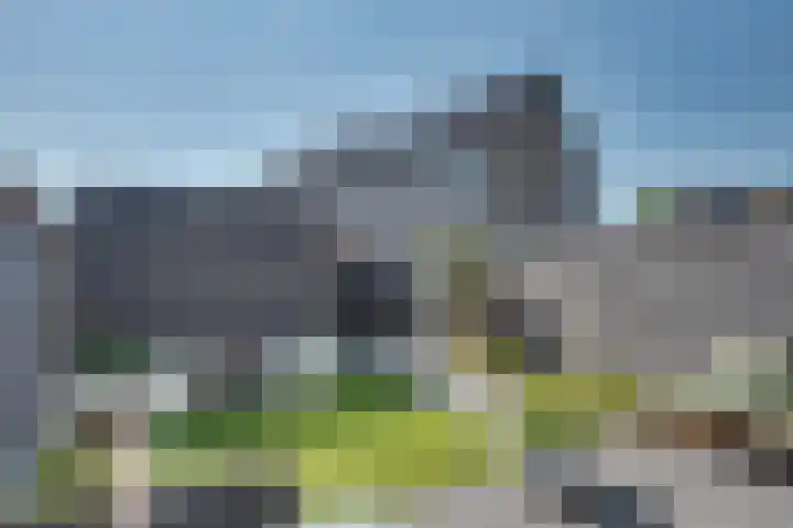 Wateringen 91 's-Hertogenbosch thumbnail 27