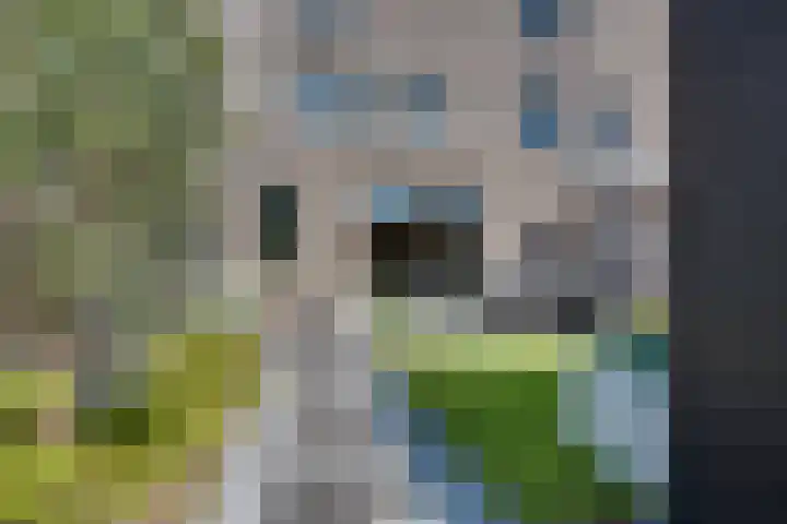 Wateringen 91 's-Hertogenbosch thumbnail 28