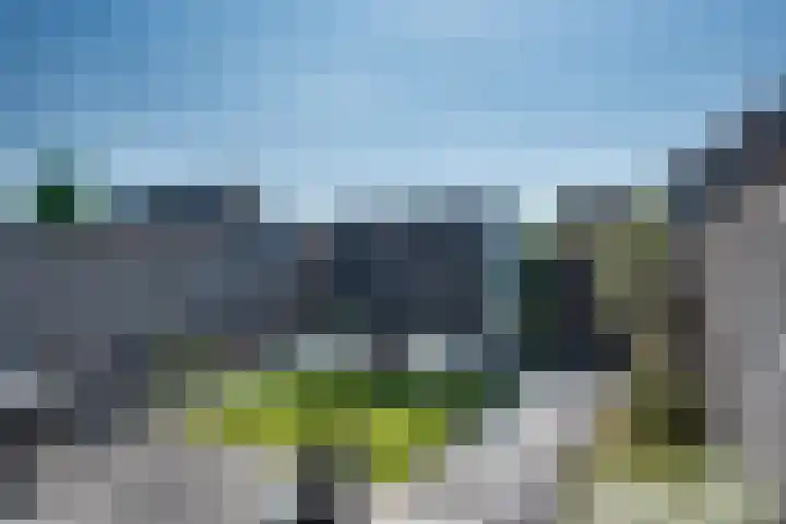 Wateringen 91 's-Hertogenbosch thumbnail 4