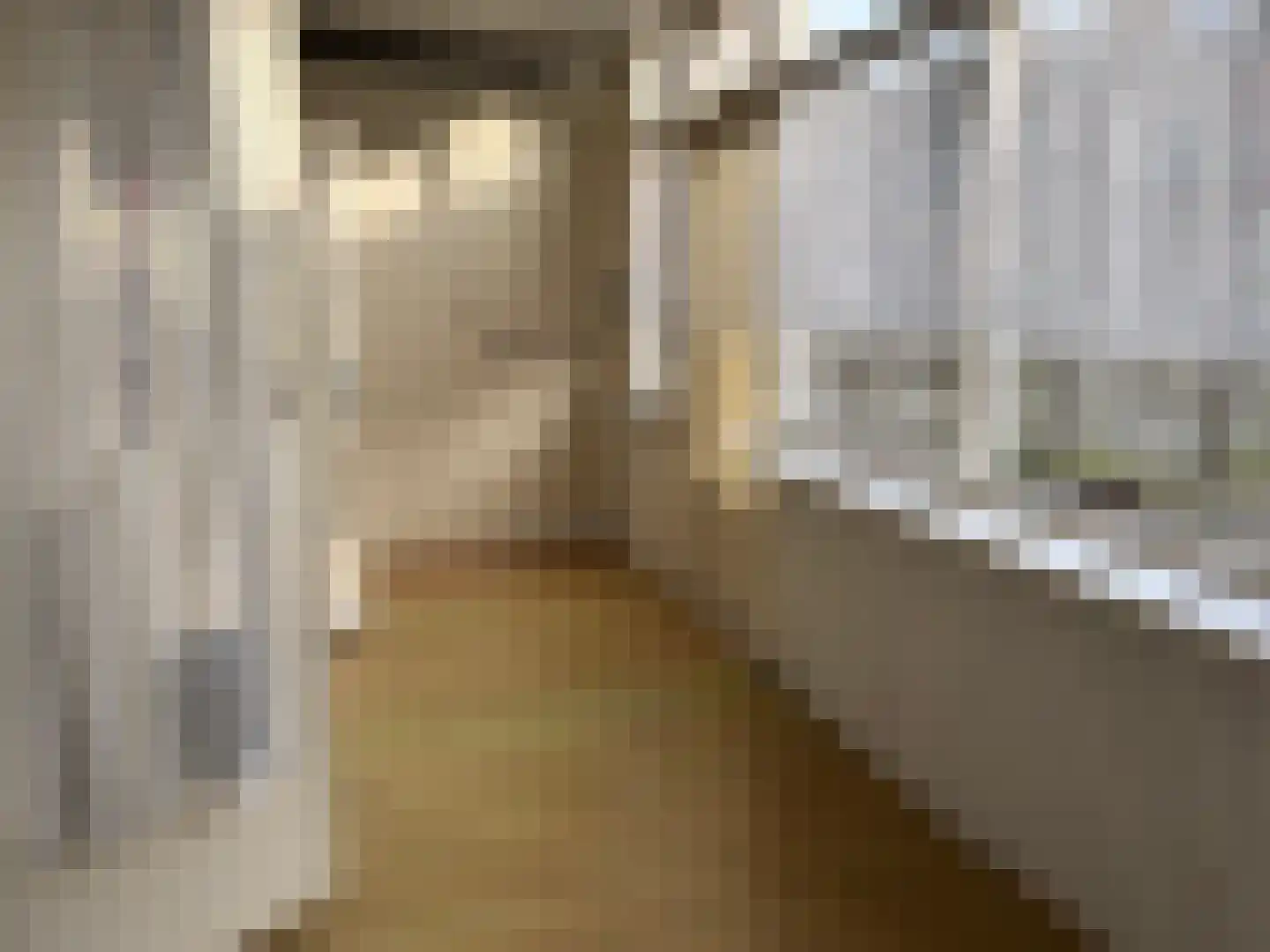 Wateringsestraat 48 Den Haag thumbnail 10