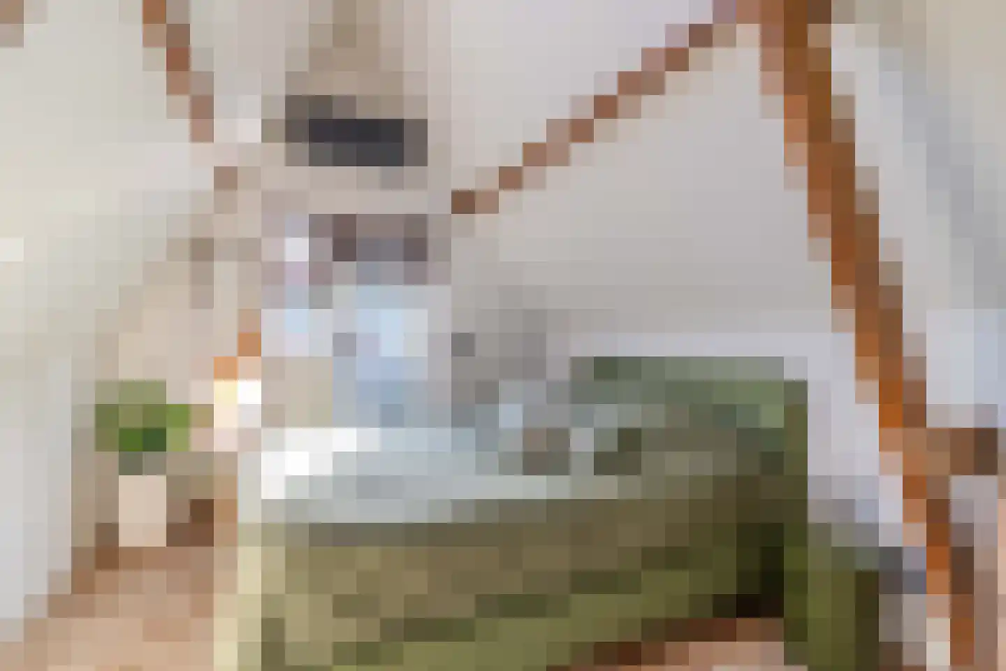 Wateringsevest 23 Delft thumbnail 26