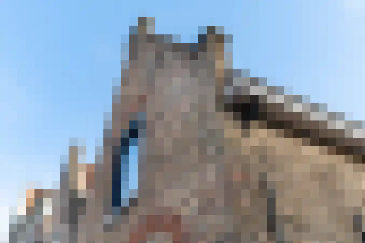 Wateringsevest 23 Delft thumbnail 7