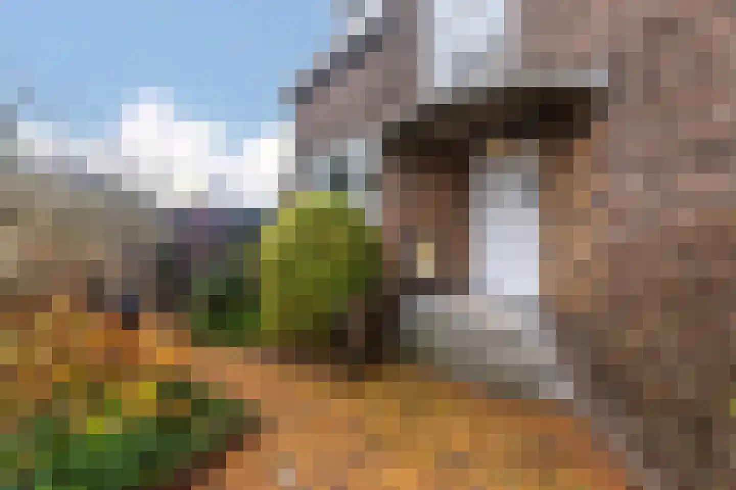 Wateringseweg 105 Poeldijk thumbnail 5