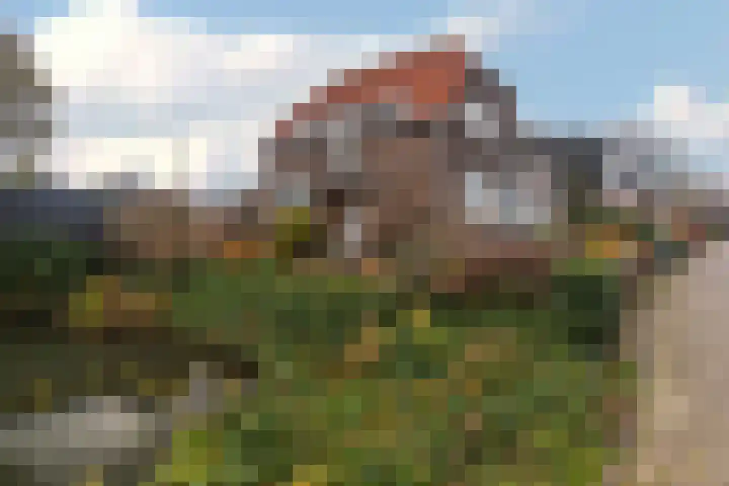 Wateringseweg 105 Poeldijk thumbnail 58