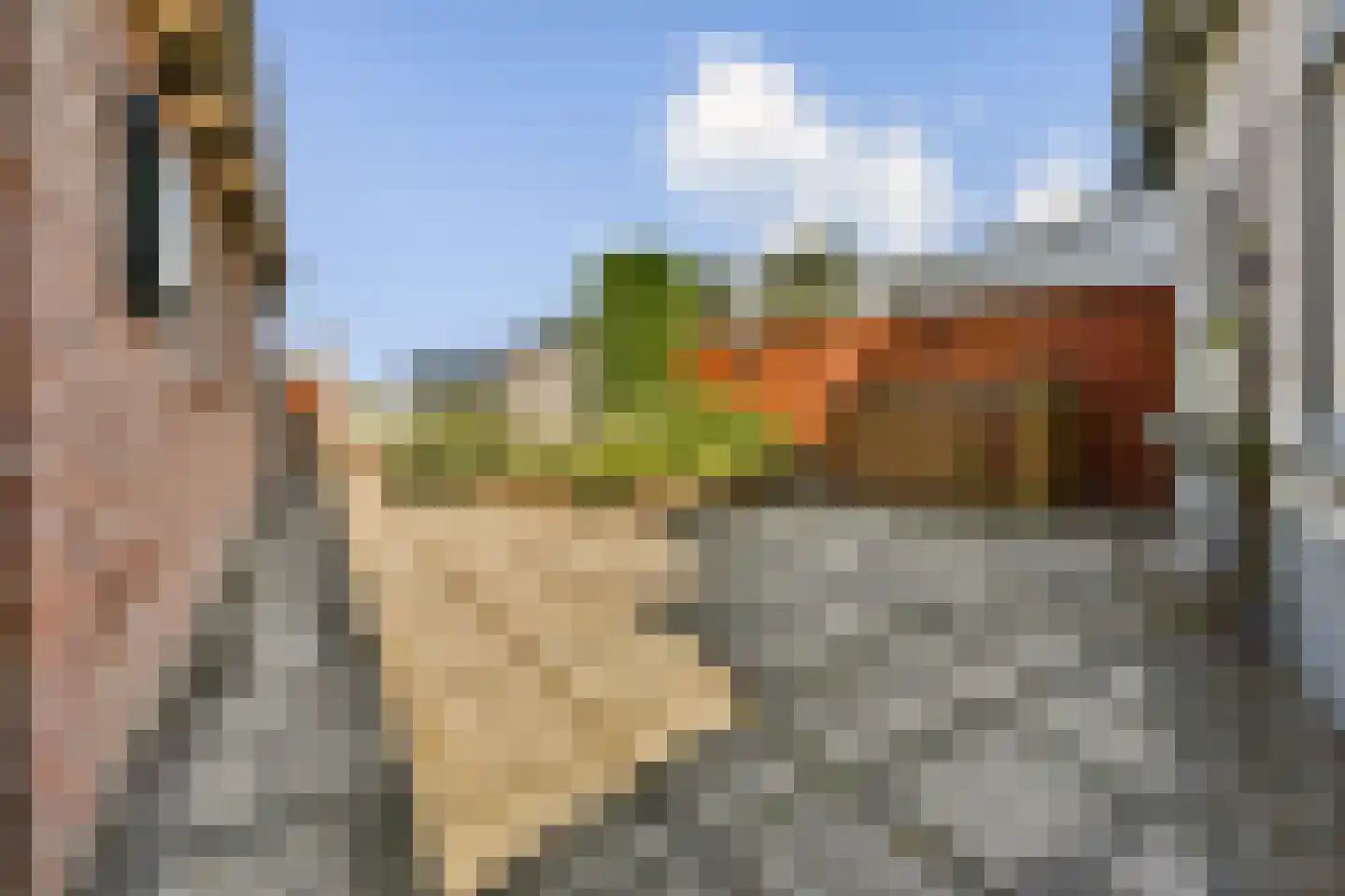 Wateringseweg 36 Poeldijk thumbnail 8