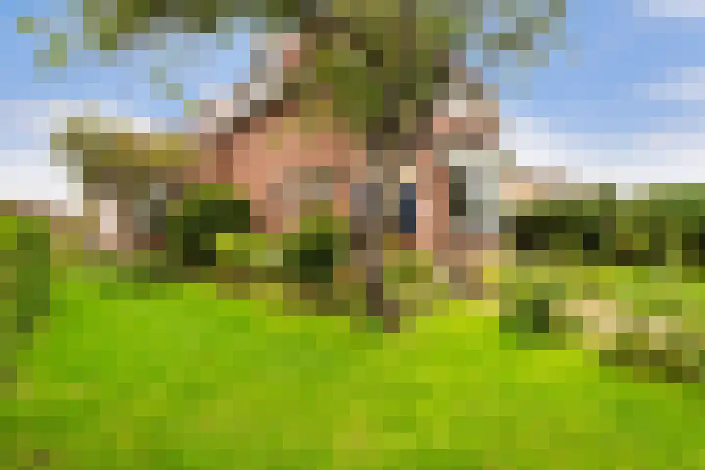 Wateringseweg 63 Poeldijk thumbnail 22