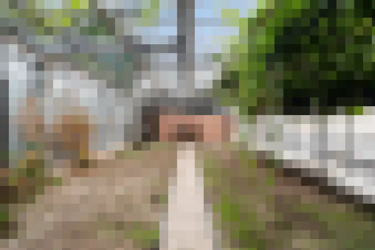 Wateringseweg 63 Poeldijk thumbnail 54