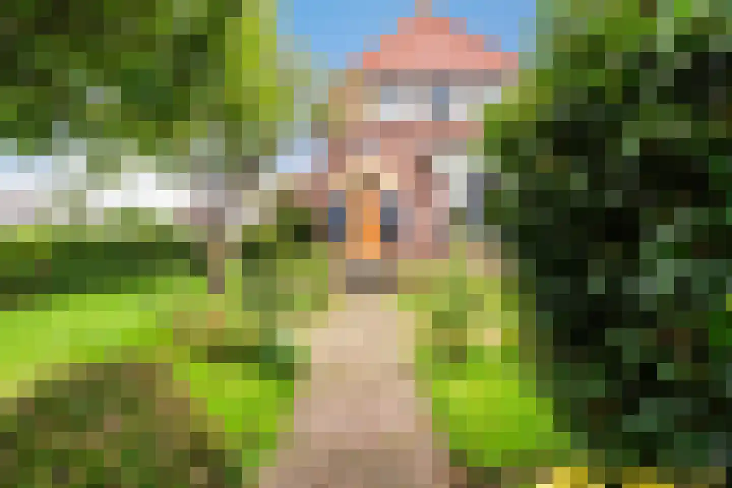 Wateringseweg 63 Poeldijk thumbnail 6